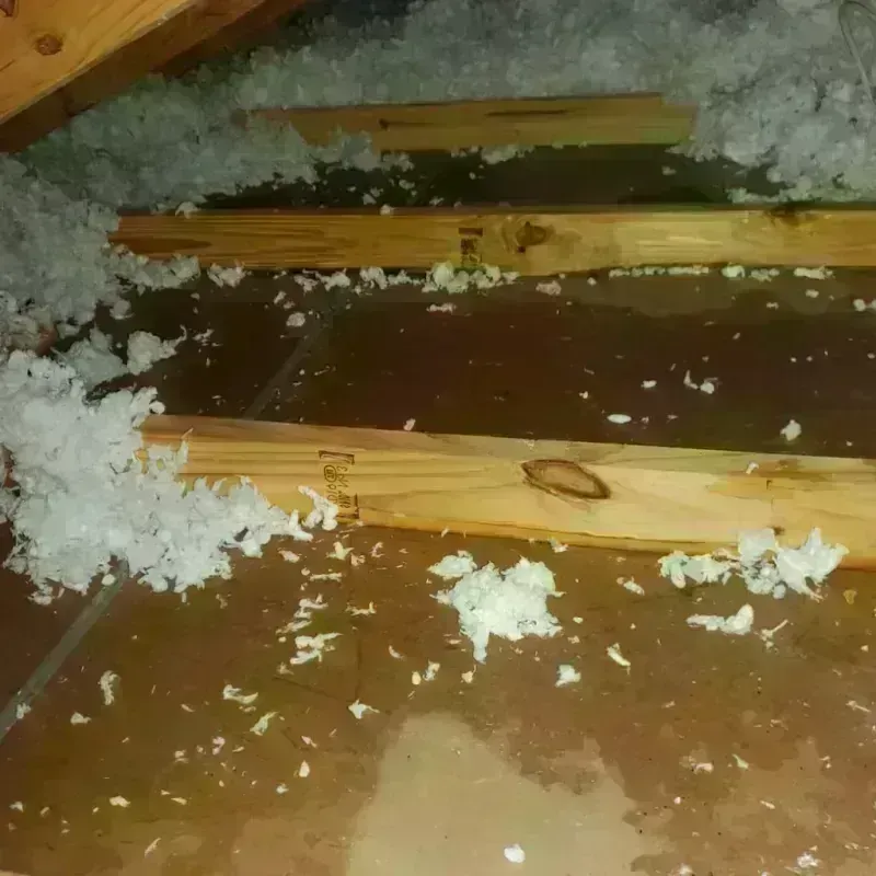 Attic Water Damage in Yorktown, IN