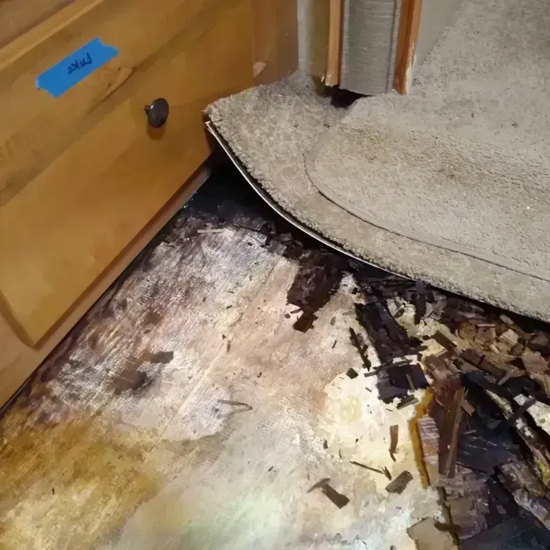 Best Wood Floor Water Damage Service in Yorktown, IN